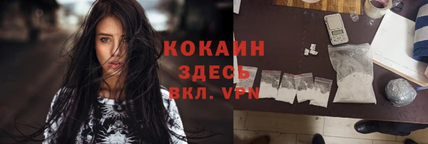 шишки Балабаново