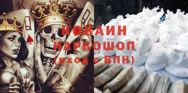 гашик Осинники