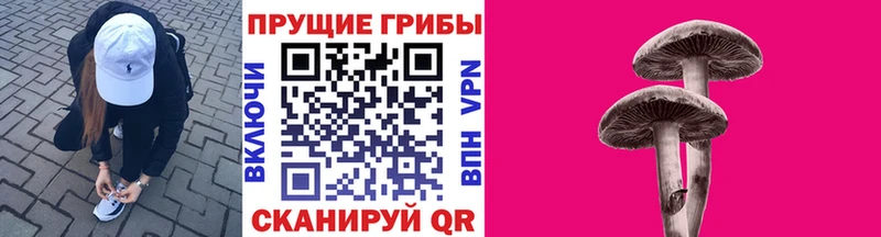 Псилоцибиновые грибы мицелий  купить наркотик  hydra   Галич 